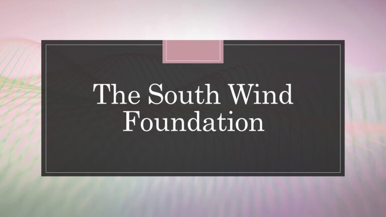 The South Wind Foundation